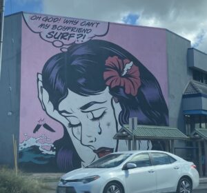 Mural - Why can't my boyfriend surf